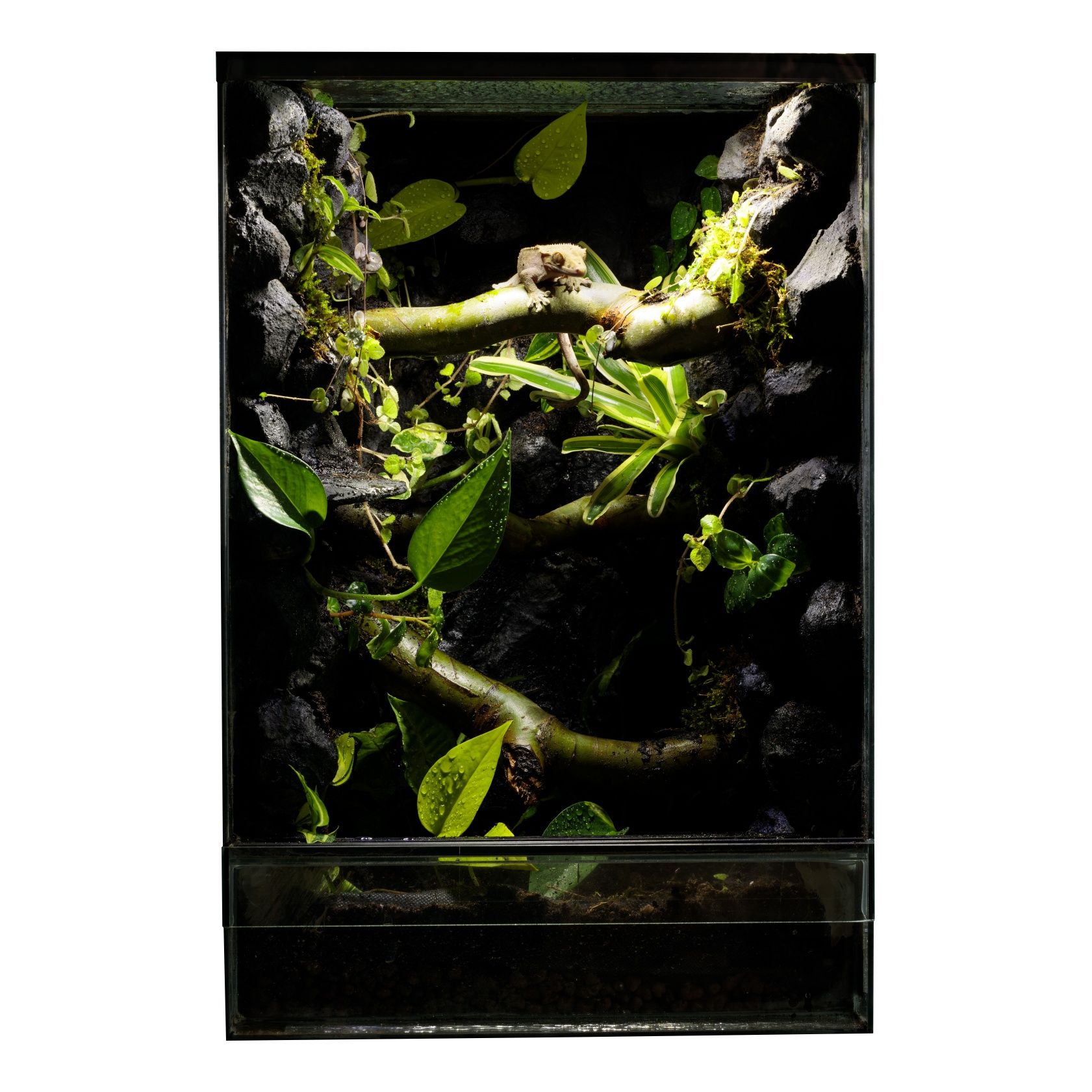 Terrarium 40x40x60 gekon paludarium