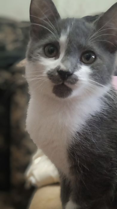 У добрі руки люблячих людей