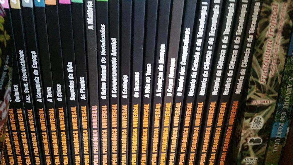 Coleção de livros, enciclopédias diversas em excelente estado