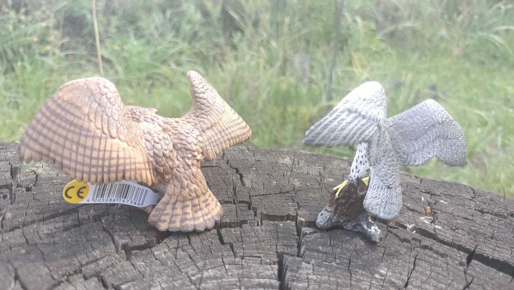 Фігурки птахів Шляйх Філін й Сокіл Schleich Eagle Owl Peregrine Falcon