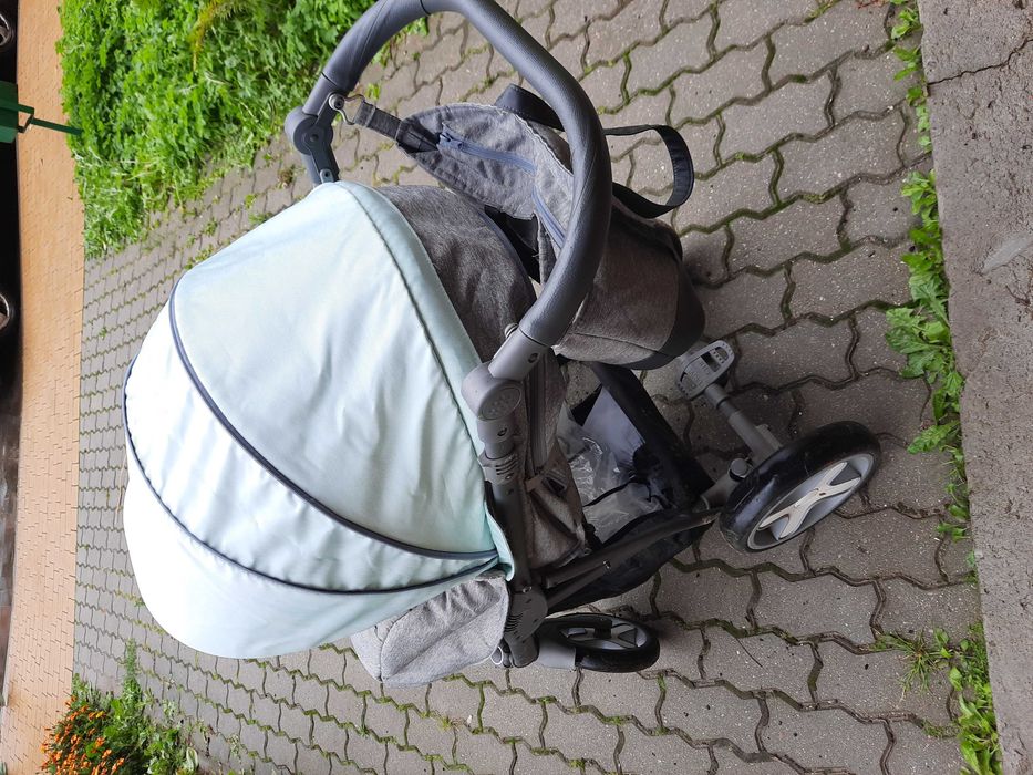 Spacerówka beksa