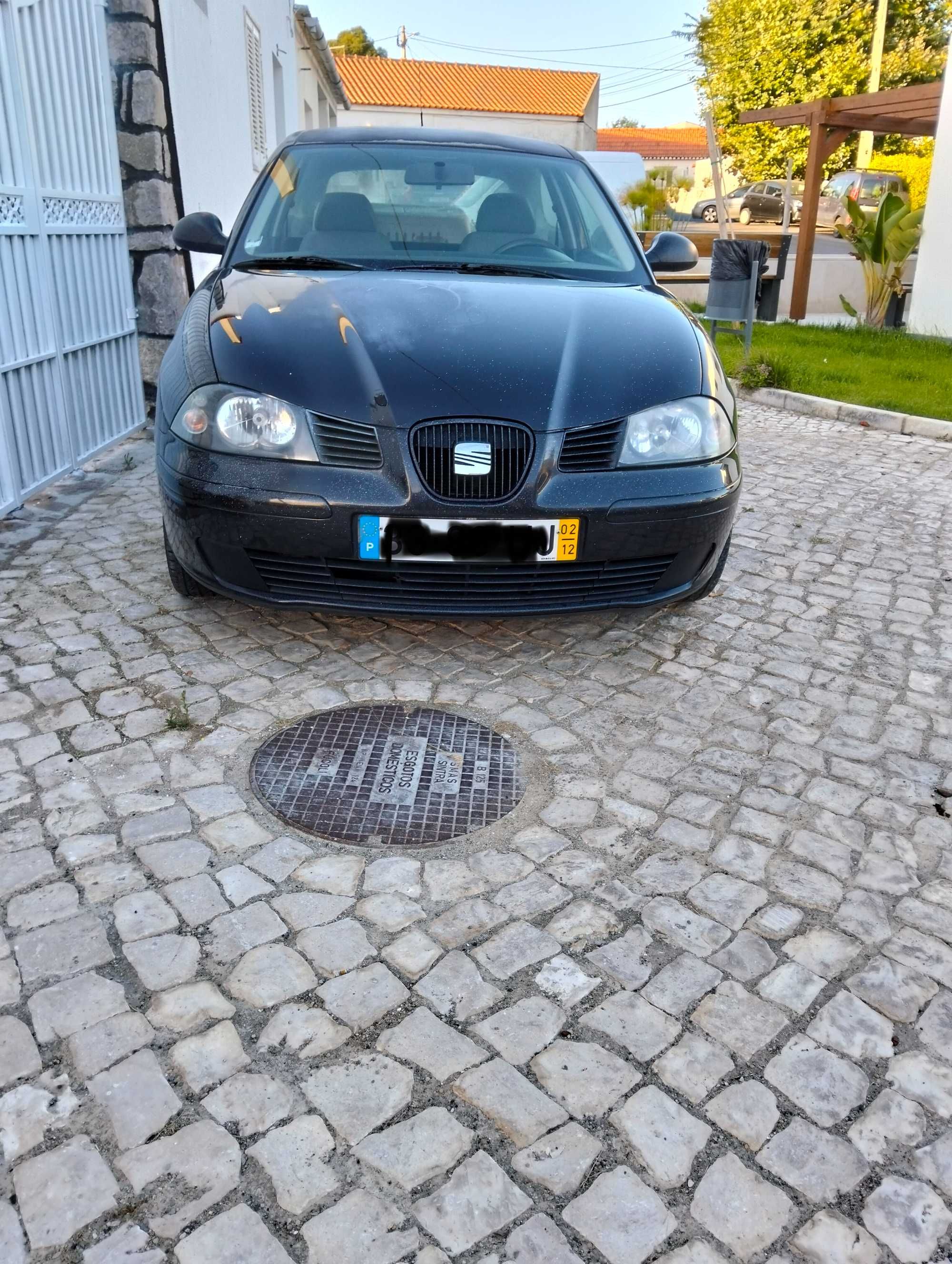 Seat Ibiza 6L 2002