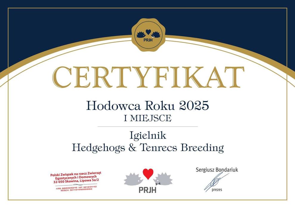 Jeżyki, Jeż pigmejski,  jeże pigmejskie, rodowód i książeczka zdrowia