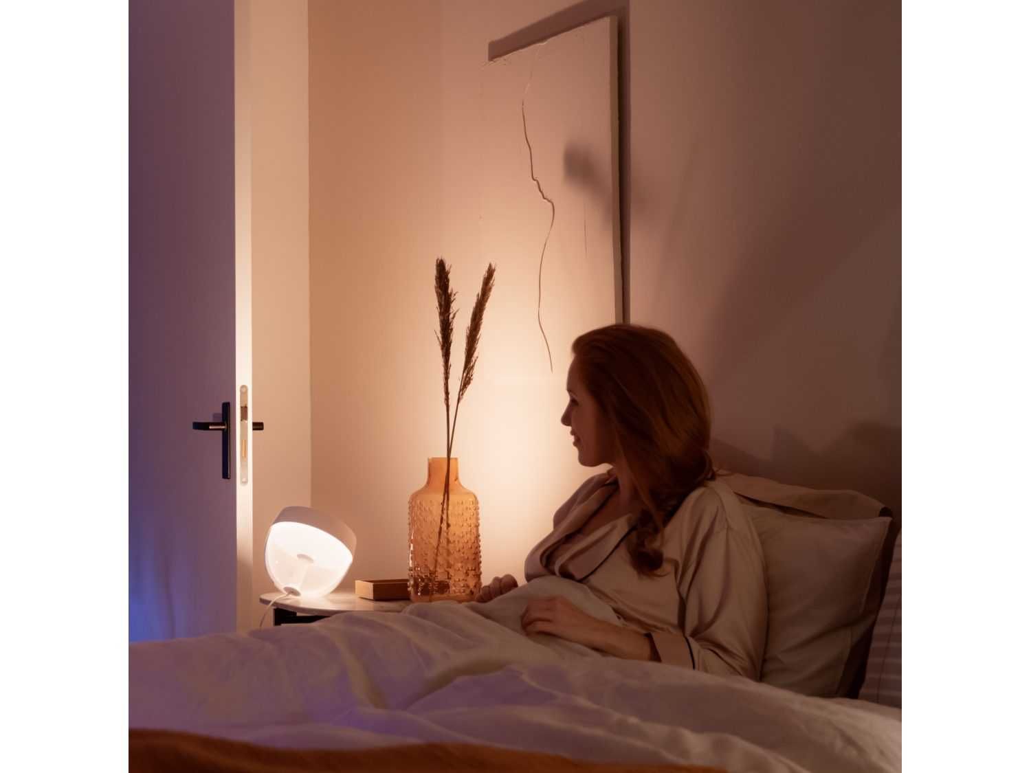 PHILIPS HUE Iris LED White and Color