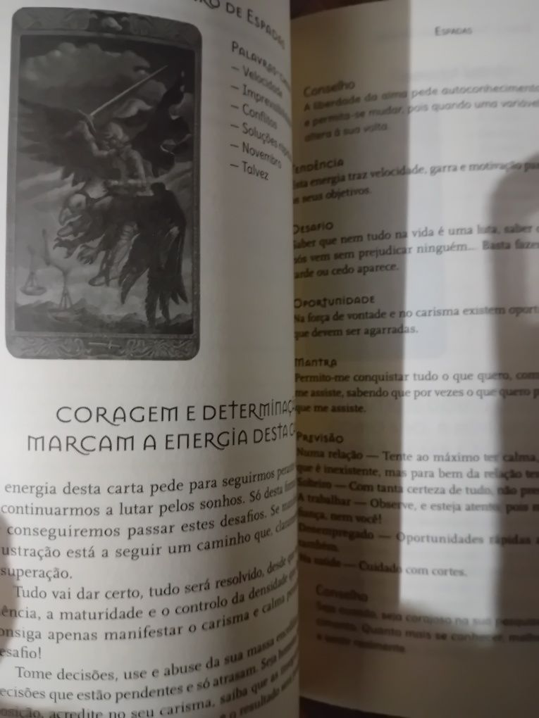 Desafio tarot arcanos menores joana dias