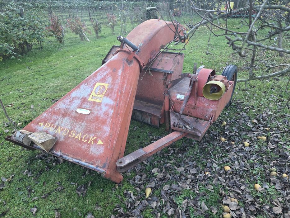 Orkan do zielonki słonecznika