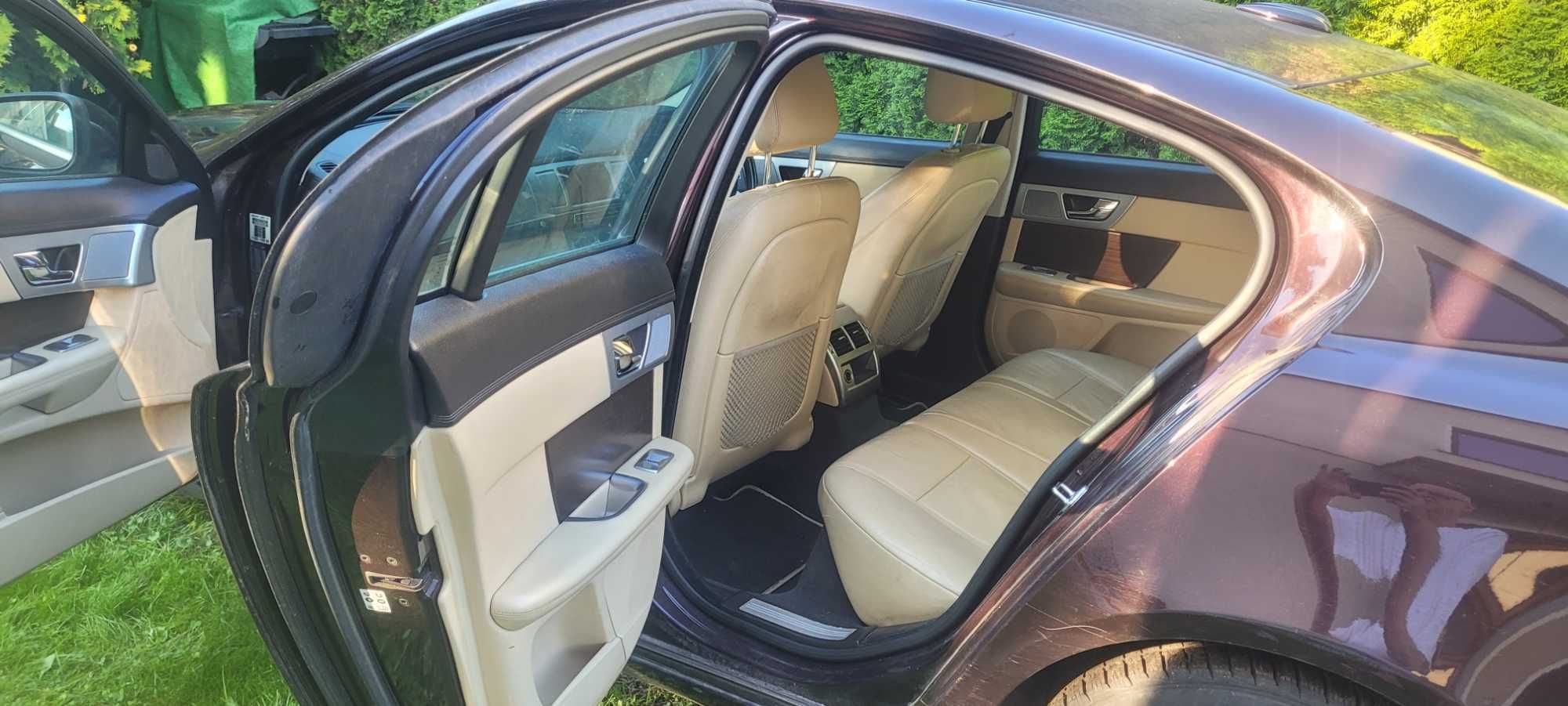 Anglik Jaguar XF