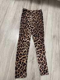 Велюрові леопардові штани