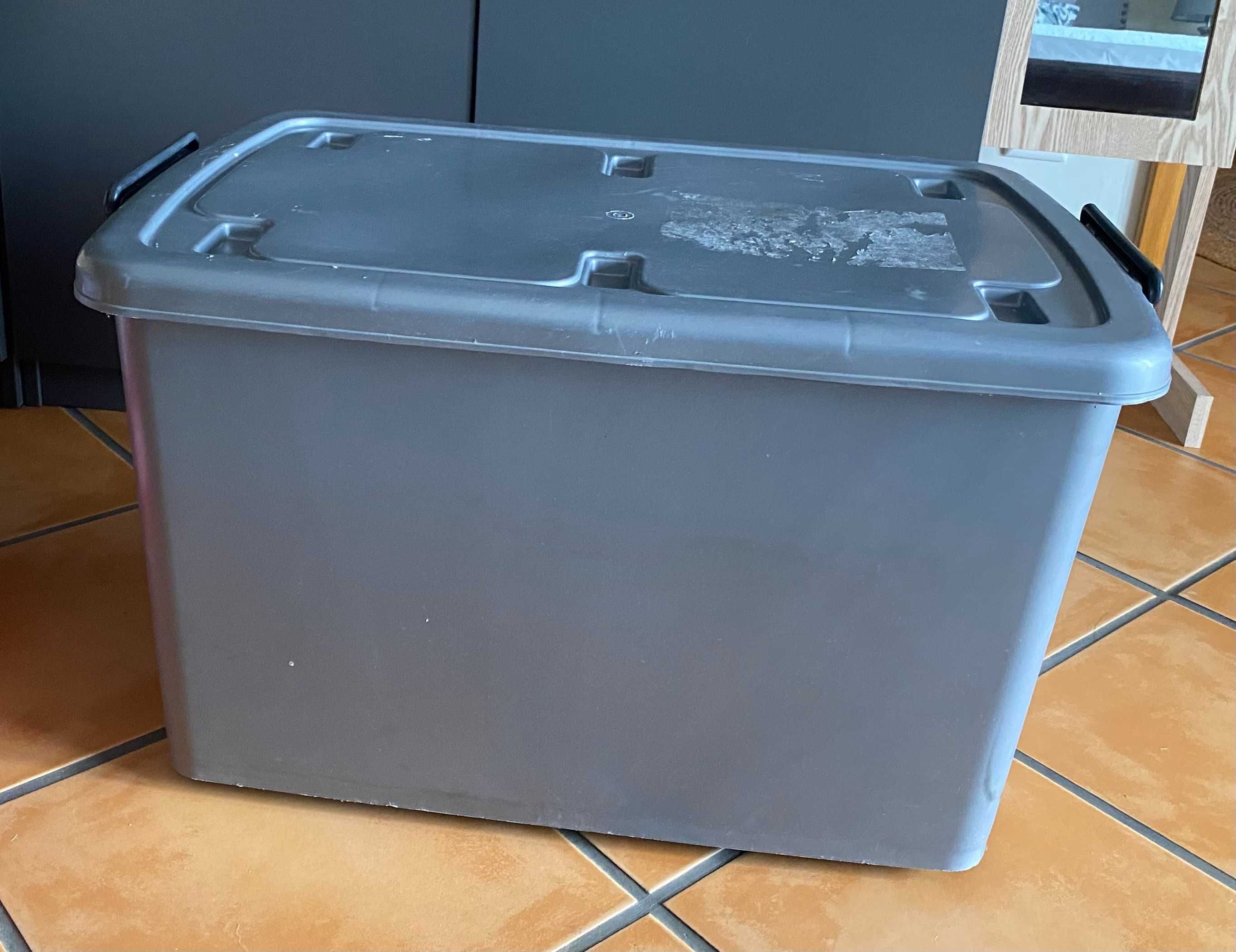 Large plastic container for storage
