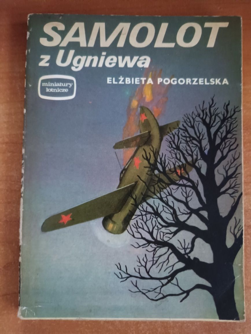 "Samolot z Ugniewa" Elżbieta Pogorzelska