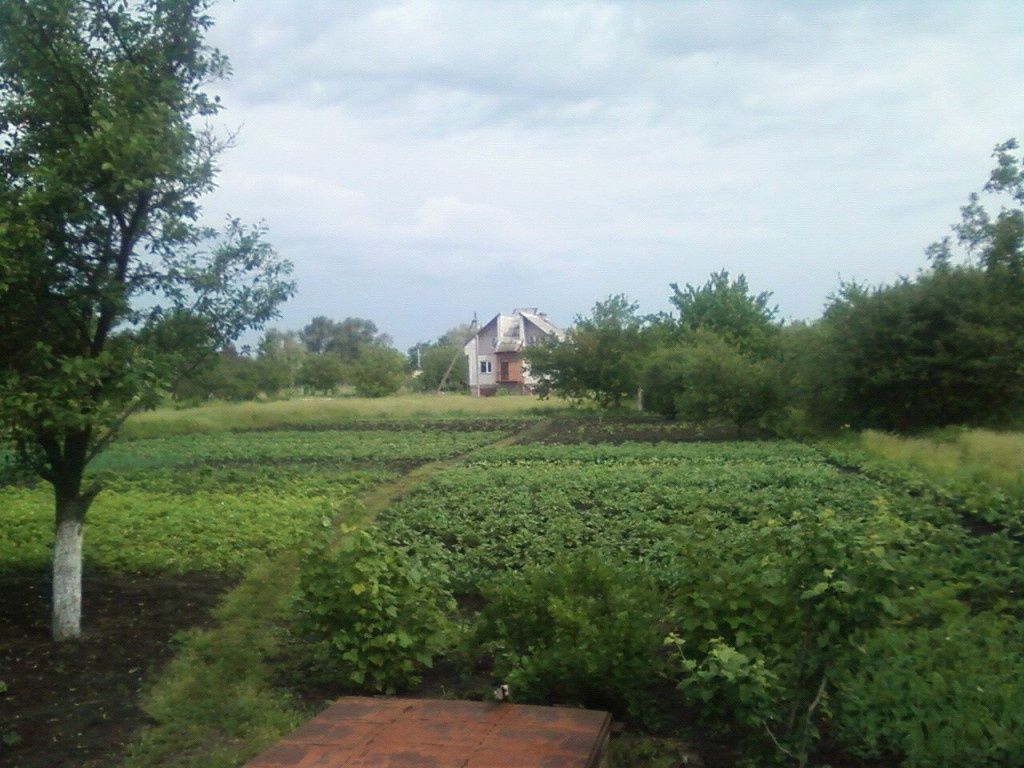 Продам дом в селе Кривуши ,Кременчугского района,улица Первомайская 8