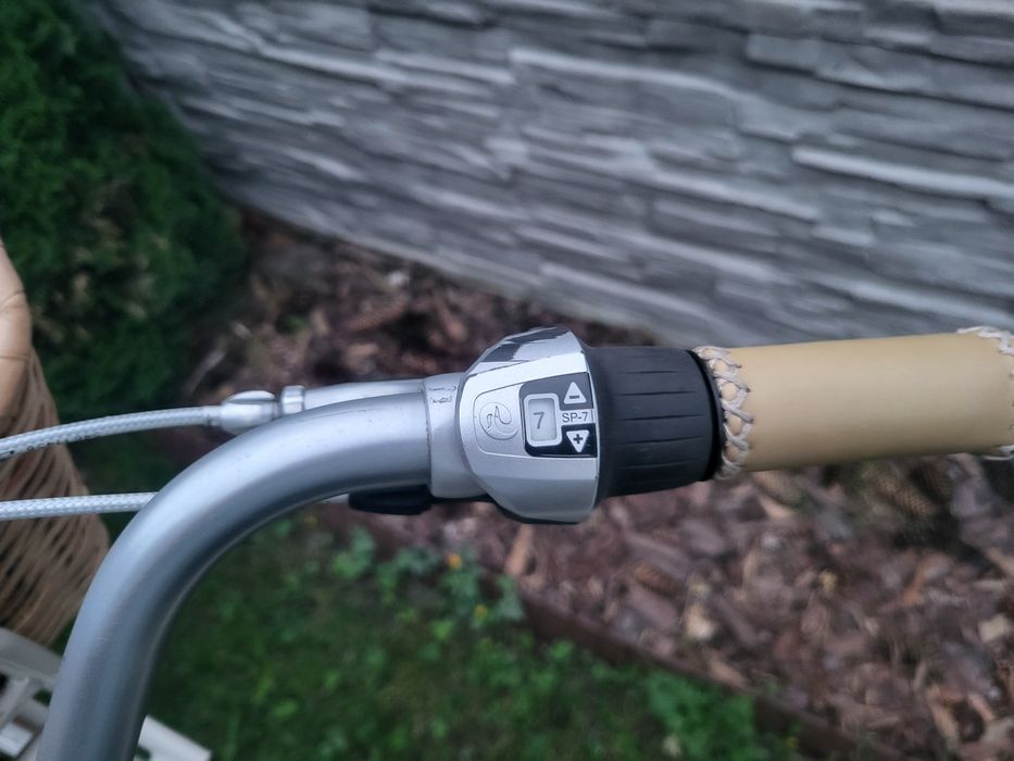 Rower BATAVUS Diva Dowóz