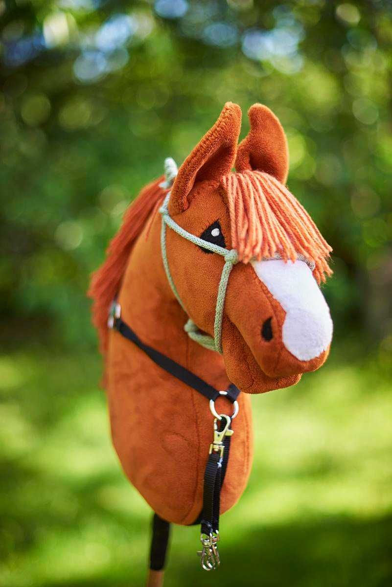 Hobby horse a3 w kolorze rudym