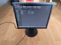 Monitor NEC 19 cali