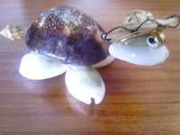 Tartaruga com Óculos feita com conchas marinhas
