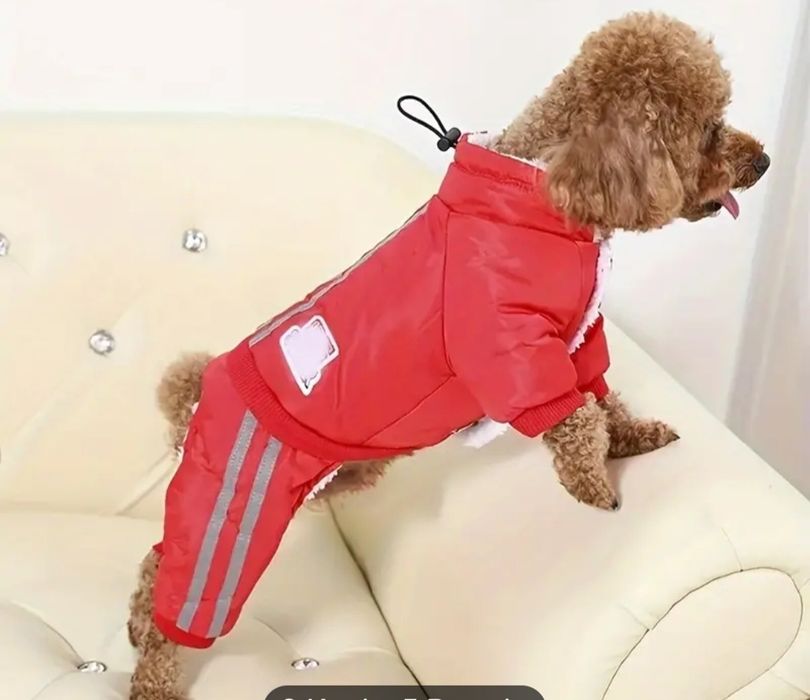 Одежда для собак, зима, одяг для собак