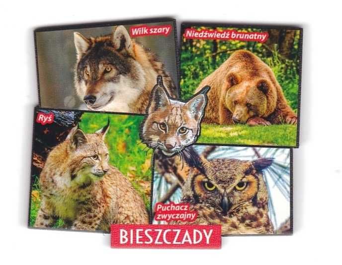 BIESZCZADY WILK RYŚ SOWA niedźwiedź Magnes na lodówkę D312