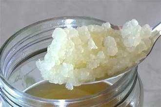 Probiotico de Kefir de agua