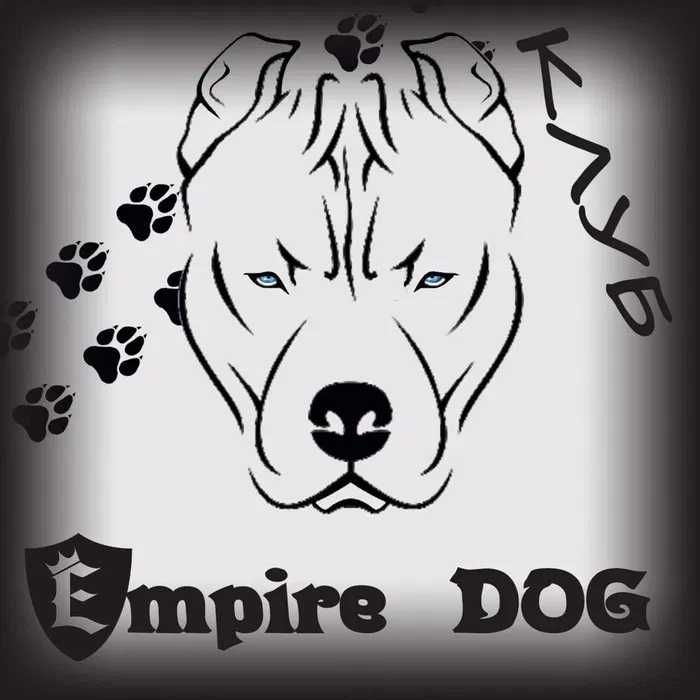 Кінолог/дресирування собак/готель для собак(Боярка/Білогородка/Нове)