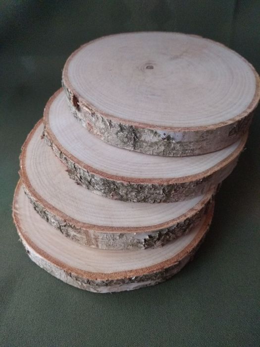 Brzoza drewno plastry krążki śr ok 15 cm szlif