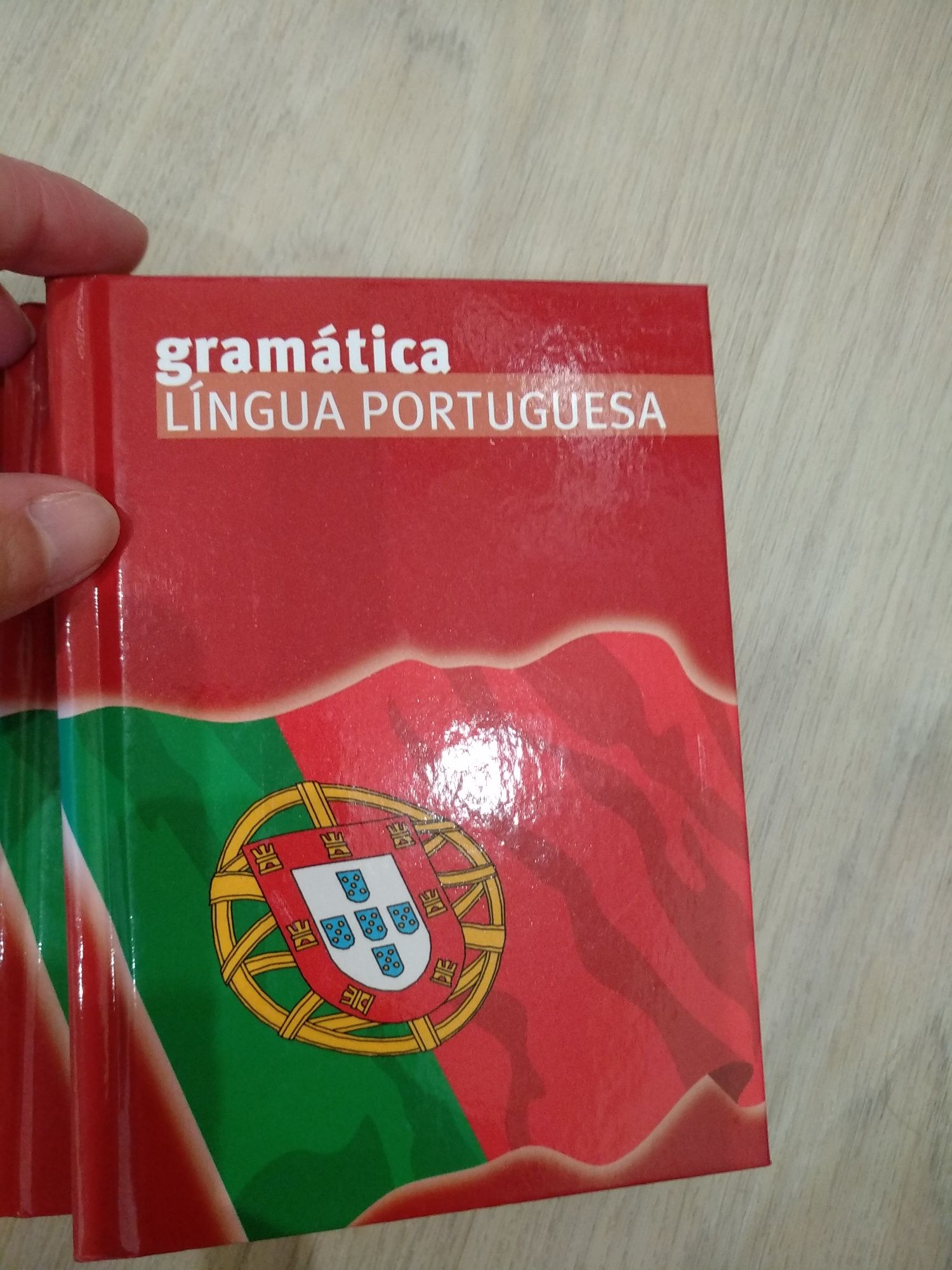 Vários Dicionários / Verbos / Gramática / Língua Espanhola