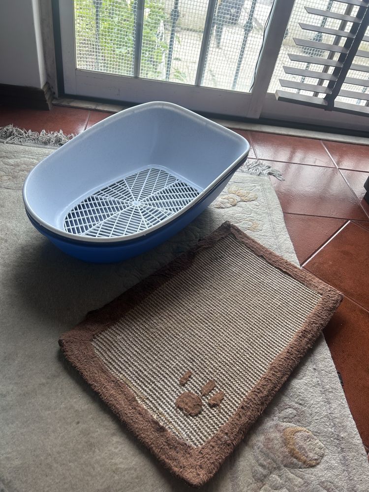 Kit COMPLETO para gato