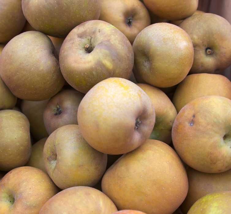Skrzynka jabłek szara reneta 20kg własnego sadu pozaklasowe