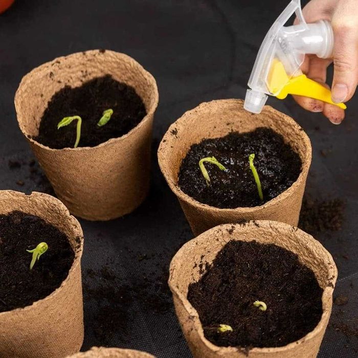 50 sztuk torfowych doniczek sadzonki kubek 8cm torfowe biodegradowalne