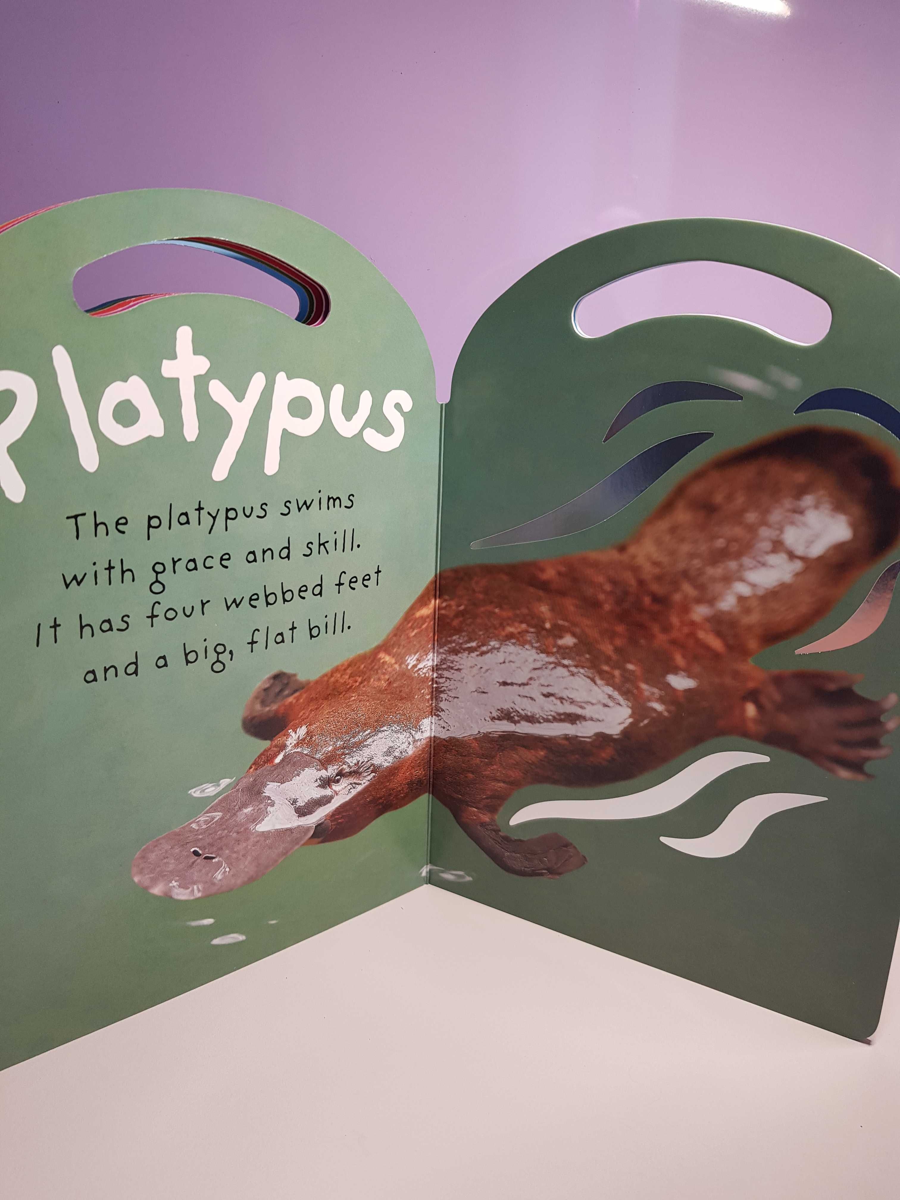 Little Possum (touch and feel book) Маленький опосум, текстурна книга