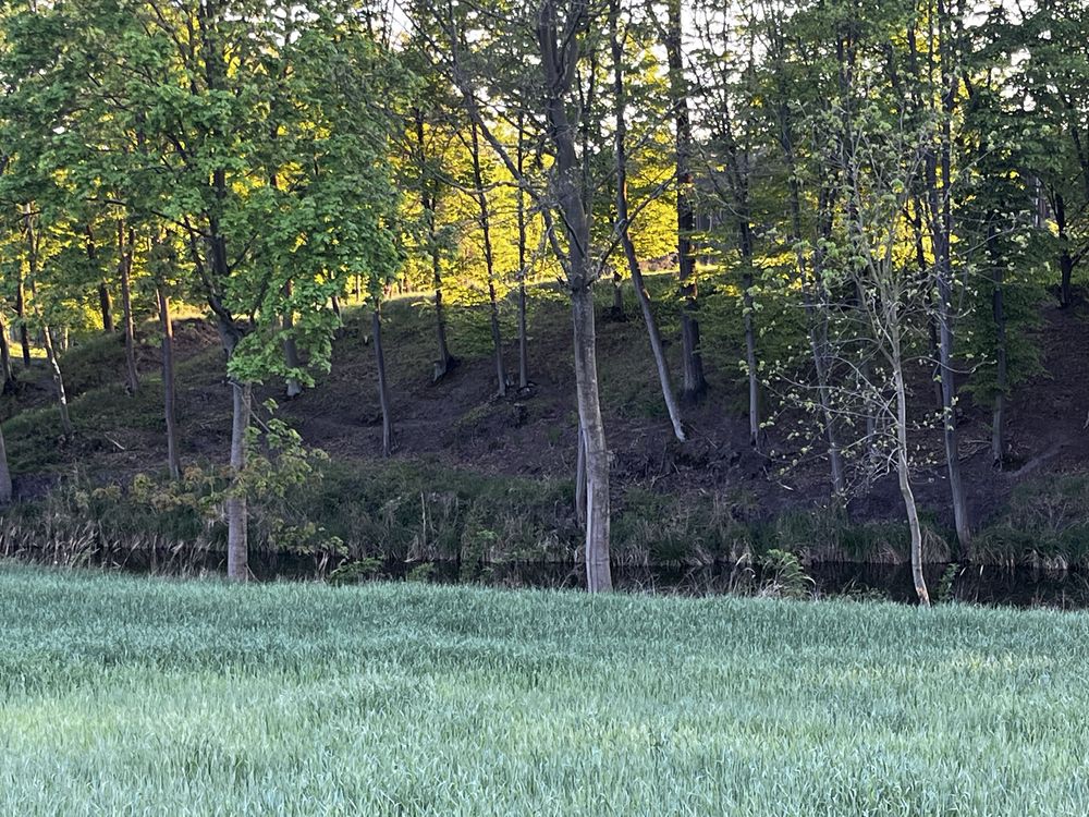 Sprzedam działkę 1600m2