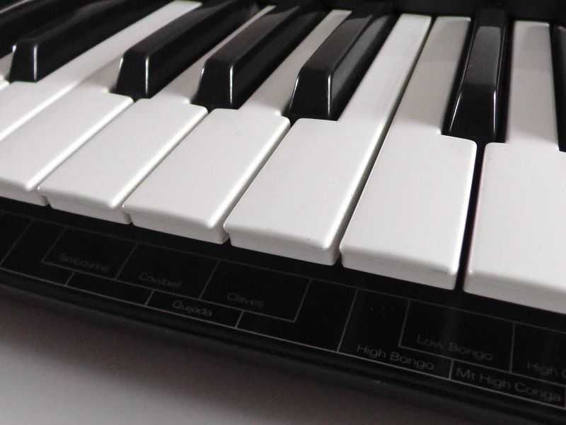 Roland PRO-E Intelligent Arranger Syntezator