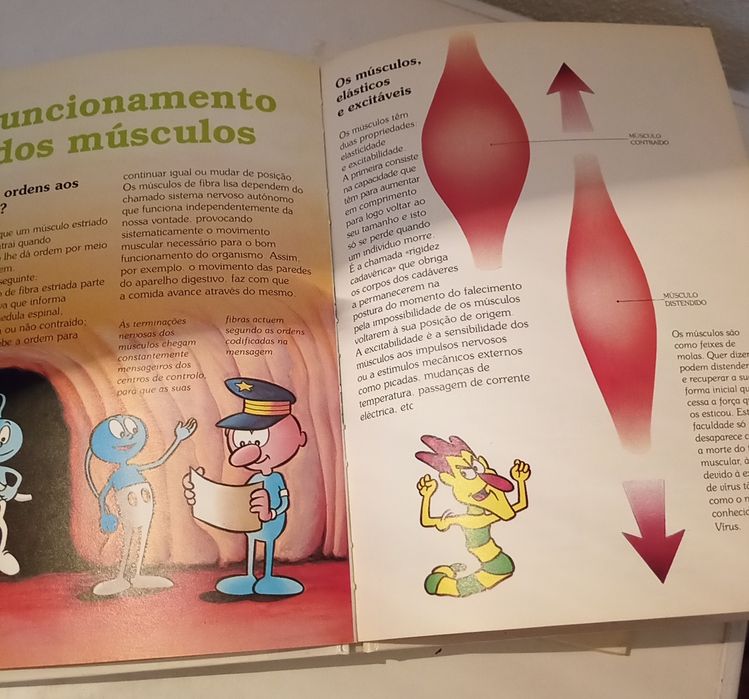 Livros diversos Infantil