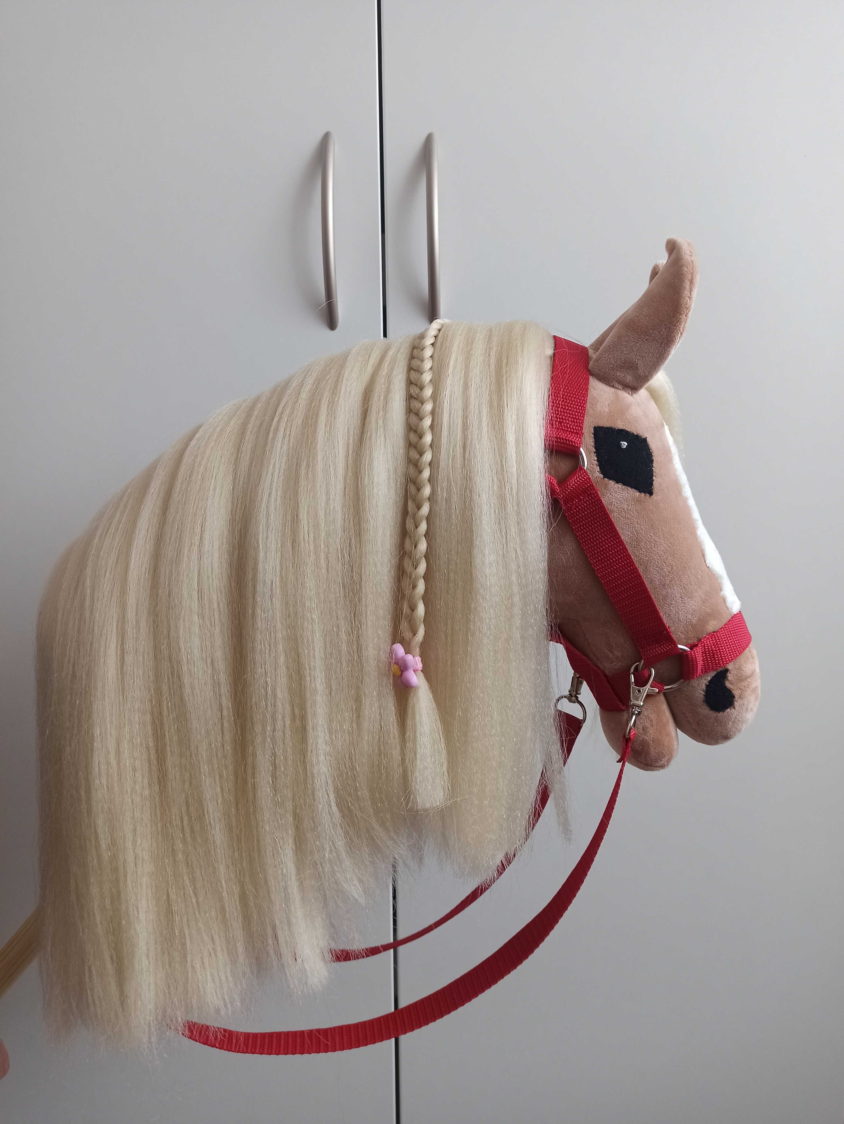 Hobby horse izabelowaty