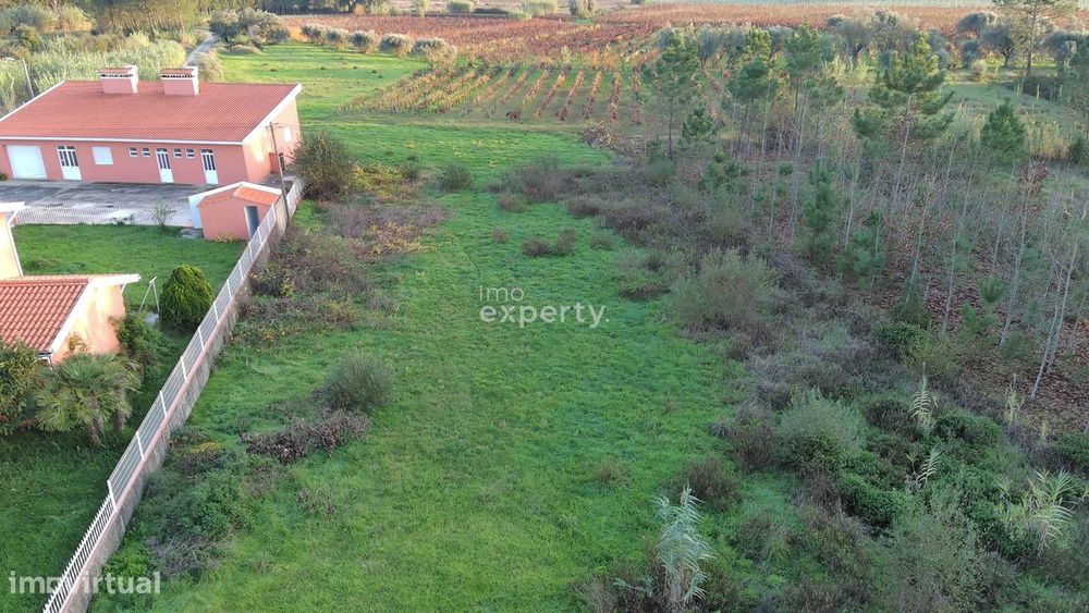 Terreno em São Lourenço do Bairro, Anadia
