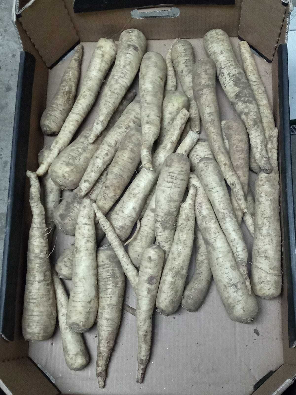 Pietruszka, marchewka, ziemniaki, buraki