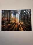 Sprzedam obraz 100x70