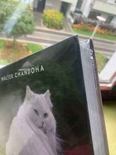 taschen CATS nowy album