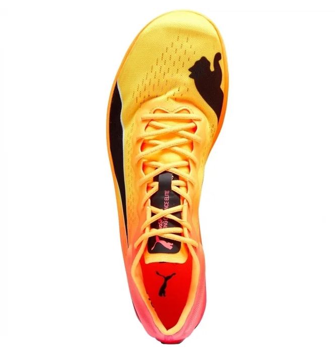 Кросівки/ шипівки шиповки Puma evoSPEED Long Distance NITRO Elite 2