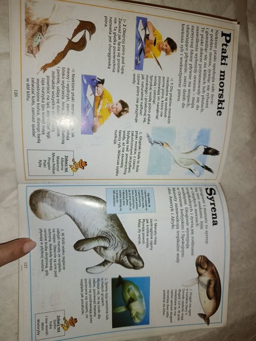 Mała encyklopedia zwierząt - Camilla Reid, Donata Łuszczewska