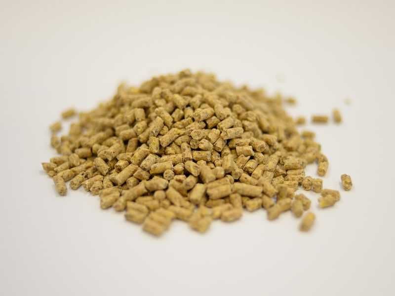 Pasza brojler 2 - od 29 dnia życia 25 kg Hurtownia Pasz Święte