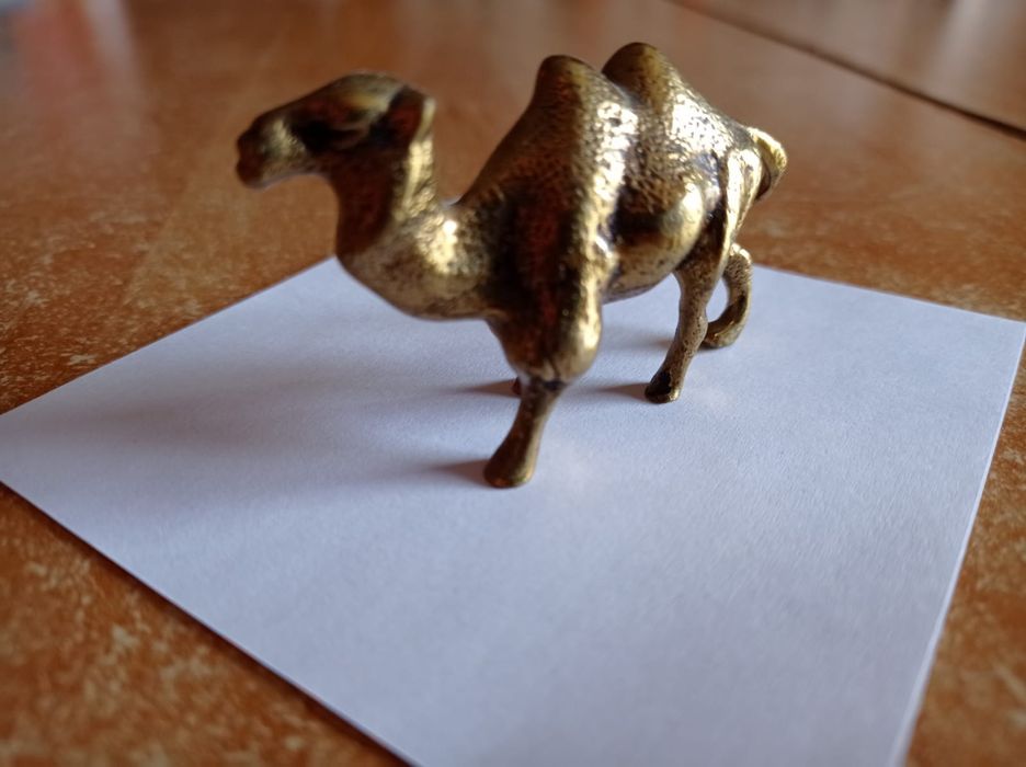 SÓ HOJE: 40€!  Camelo em bronze - peça centenária