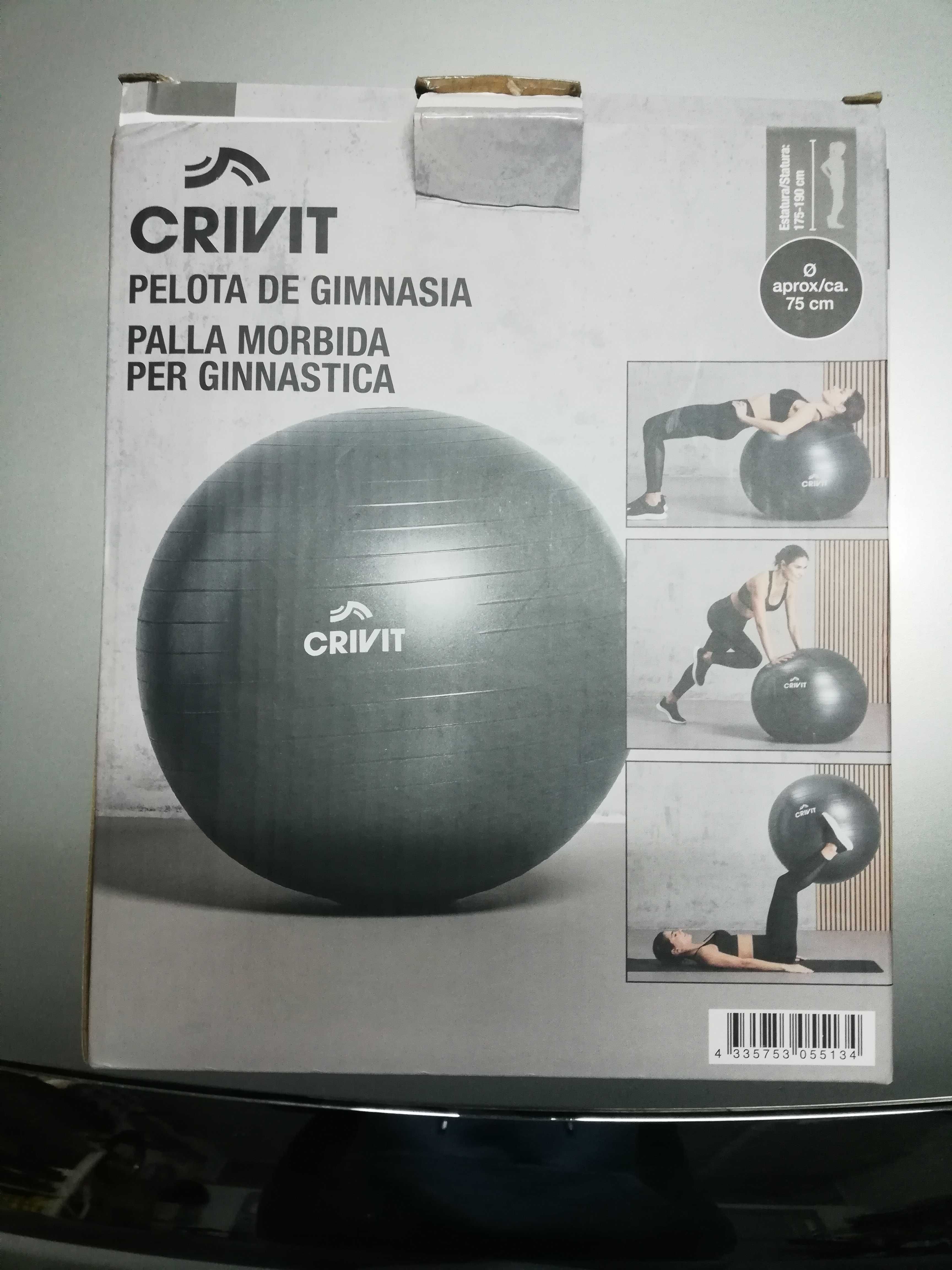 Bola de ginástica nova