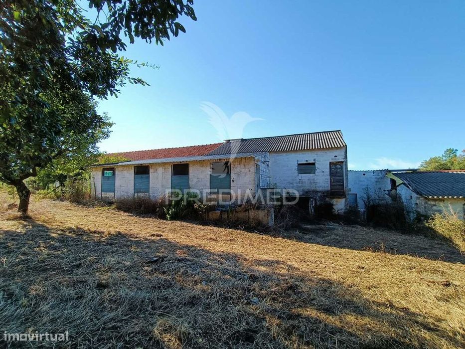 Terreno  Misto com suinicultura.