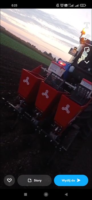 Sadzenie czosnku usługowo