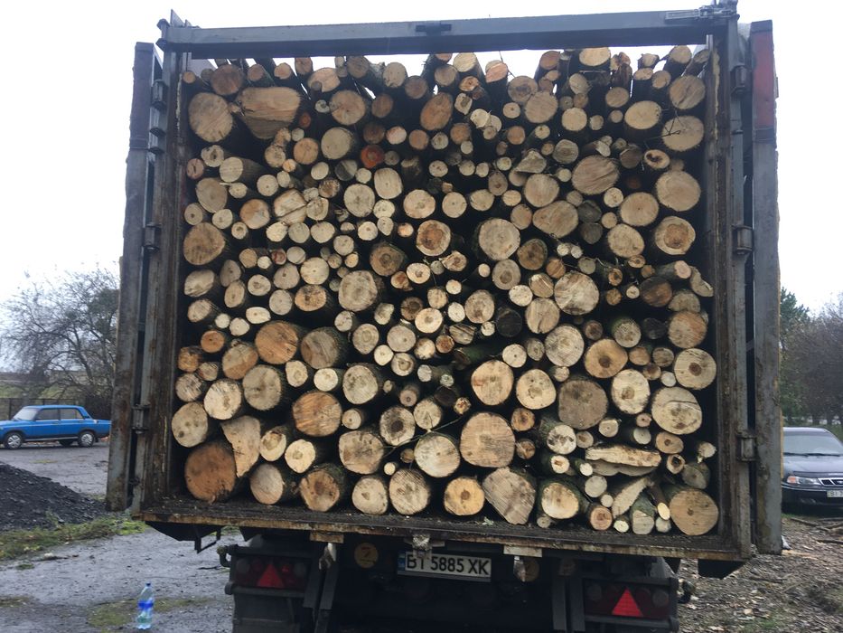 Продам дрова різних порід.