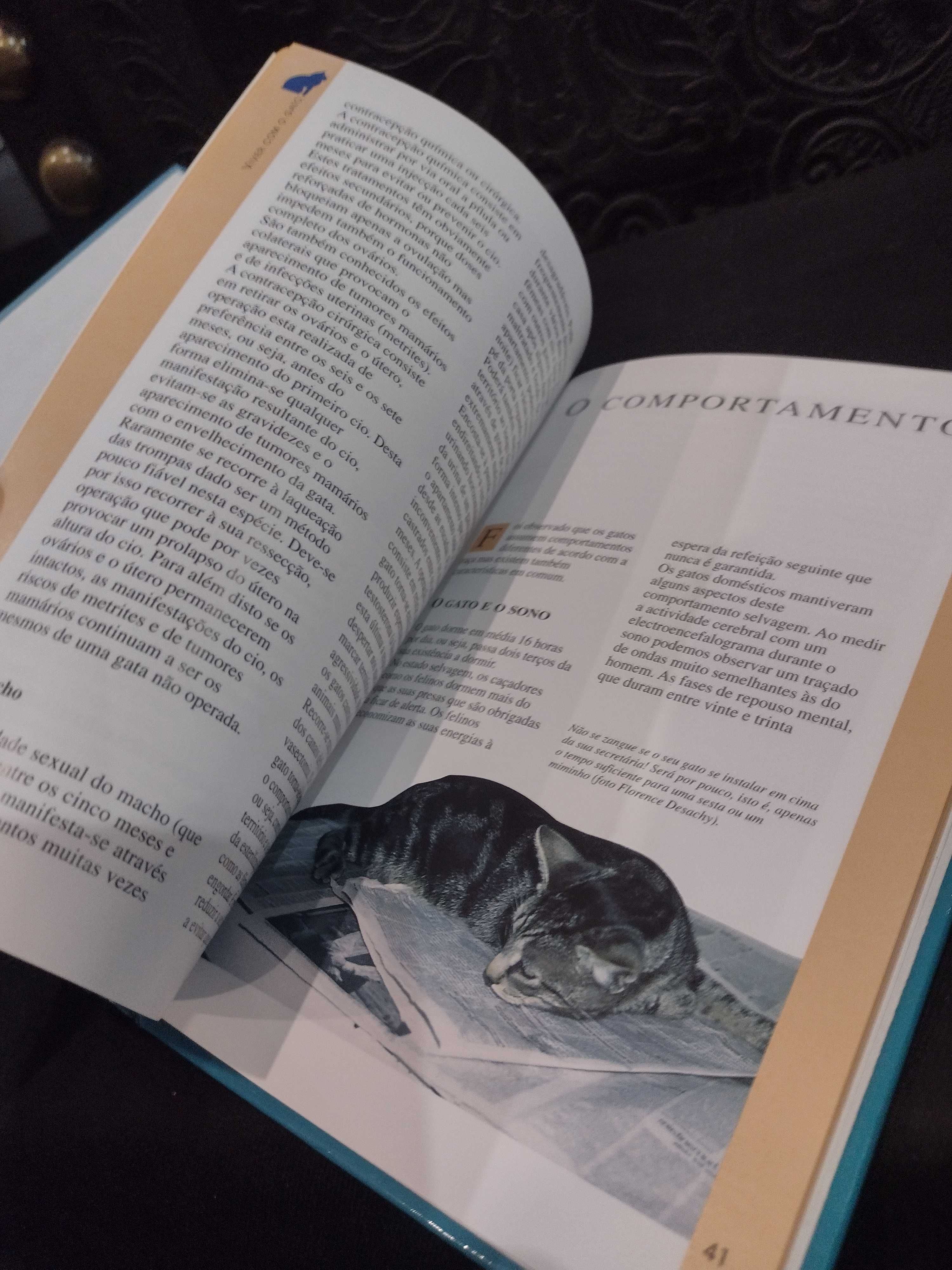 Viver com o Gato o que precisa saber - Michèle Fermé-Fradin