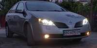 Nissan  primera P12 2.2 CDTI