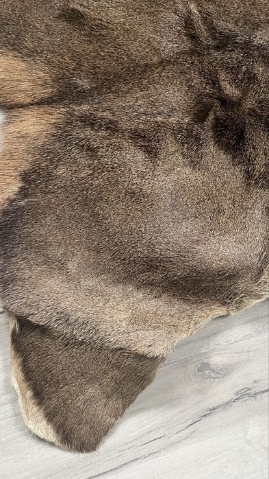 Skóra z dzika brazowa