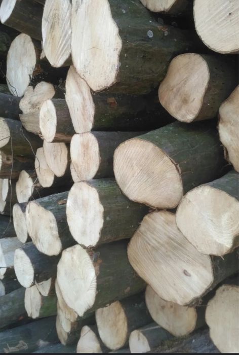 DREWNO kominkowe GRAB - układane