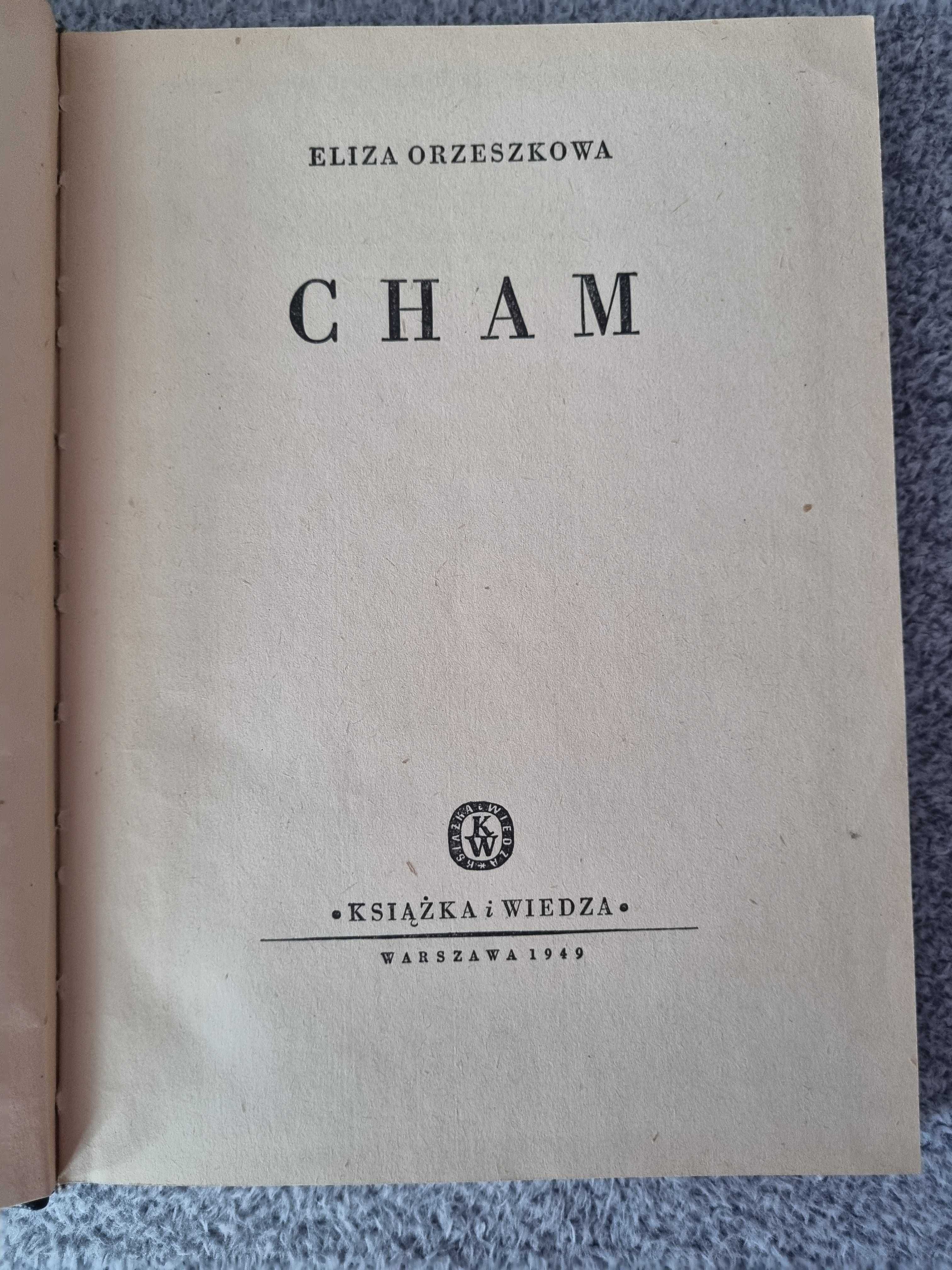 Cham  Eliza Orzeszkowa